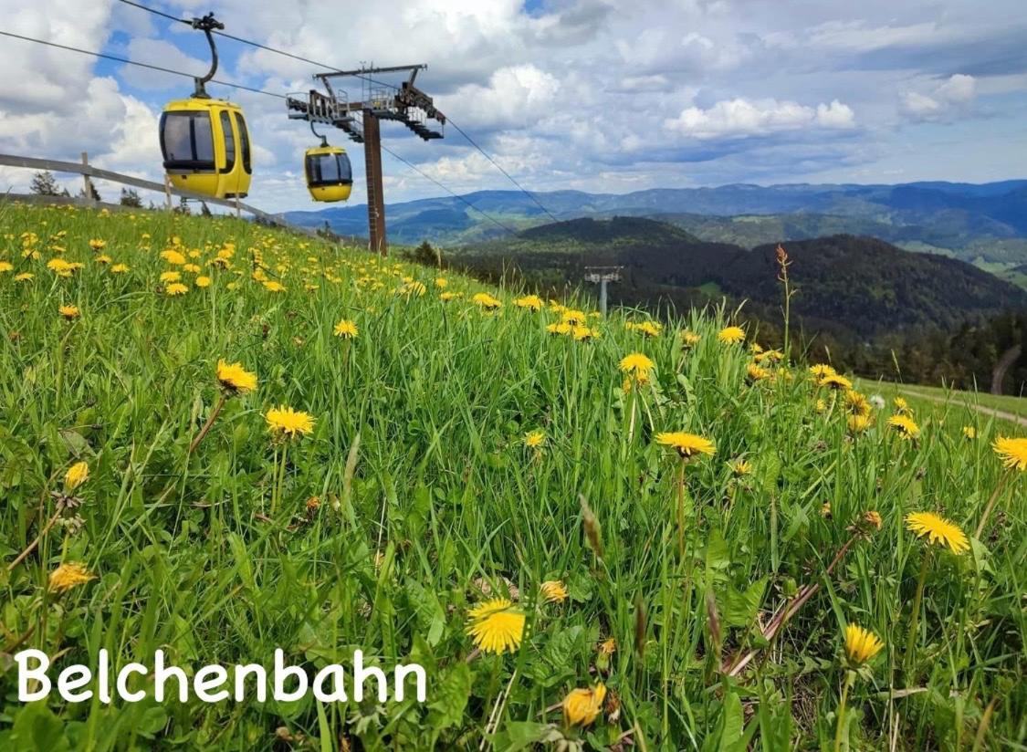 Toscana-Residenz Im Schwarzwald Utzenfeld Kültér fotó